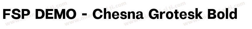 FSP DEMO - Chesna Grotesk Bold字体转换